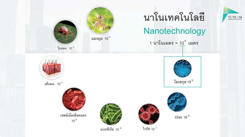 นักวิจัยของT1 TEAM ได้รับรางวัลนักวิจัยยอดเยี่ยมหลายรางวัล